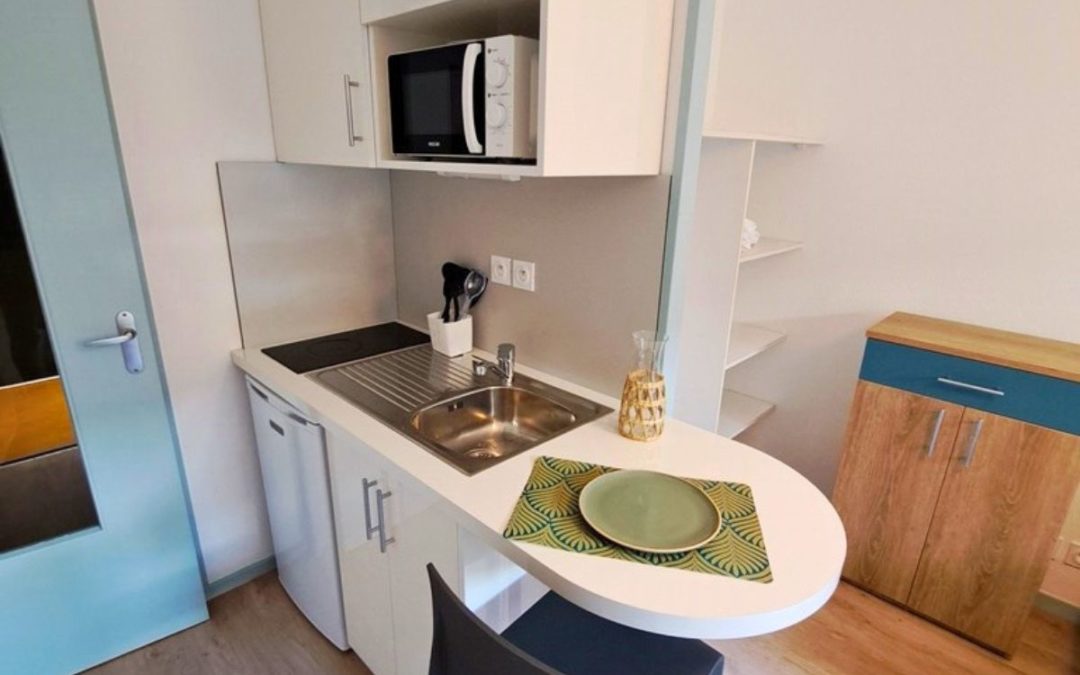 Rénover en site occupé, l&rsquo;exemple de La Timone à Marseille