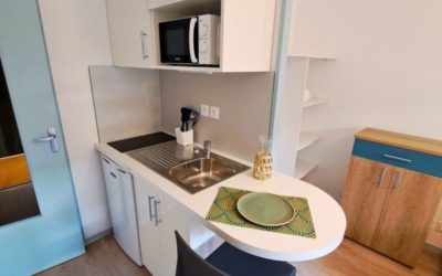 Rénover en site occupé, l’exemple de La Timone à Marseille